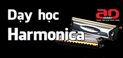 Day hoc Harmonica