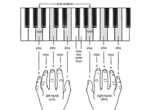 Hướng dẫn chơi đàn Piano cho người mới học