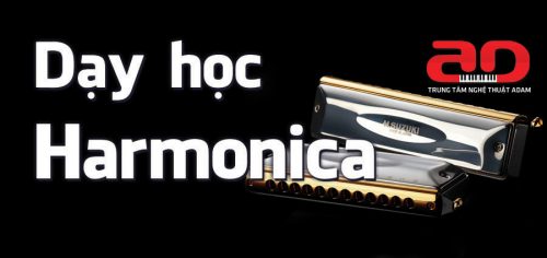 Lời khuyên sâu sắc khi chơi đàn Harmonica