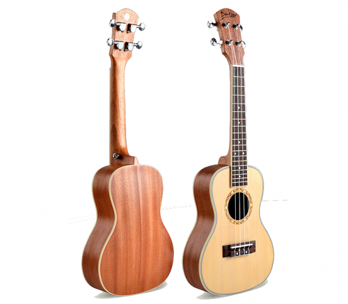 Những điều cần lưu ý khi mua đàn ukulele dành cho người chơi