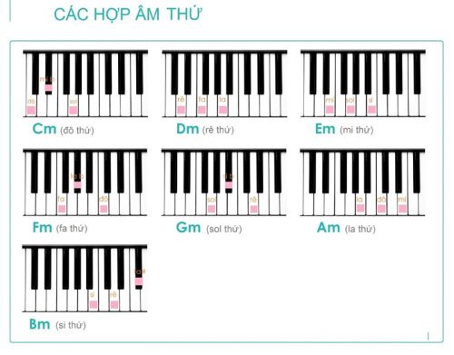 Tìm hiểu về các hợp âm trong quá trình học lý thuyết âm nhạc