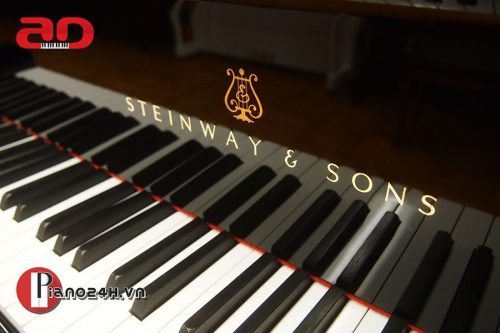 Những thương hiệu piano nổi tiếng mà người chơi đàn nào cũng nên biết