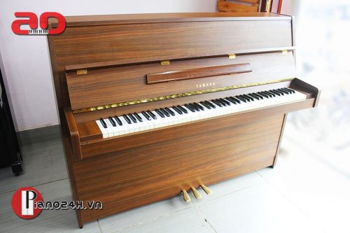 Những thương hiệu piano nổi tiếng mà người chơi đàn nào cũng nên biết