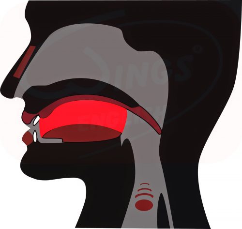 Sửa chữa những sai lệch về âm sắc của giọng mũi - 2