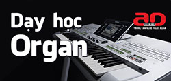 Day hoc Organ